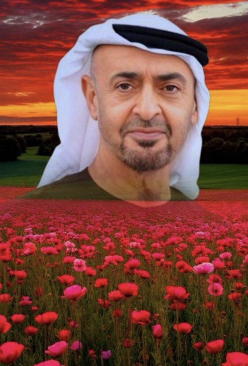 Zayed  Aldrabkih tweet media