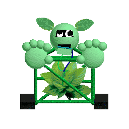 mintman12 tweet media