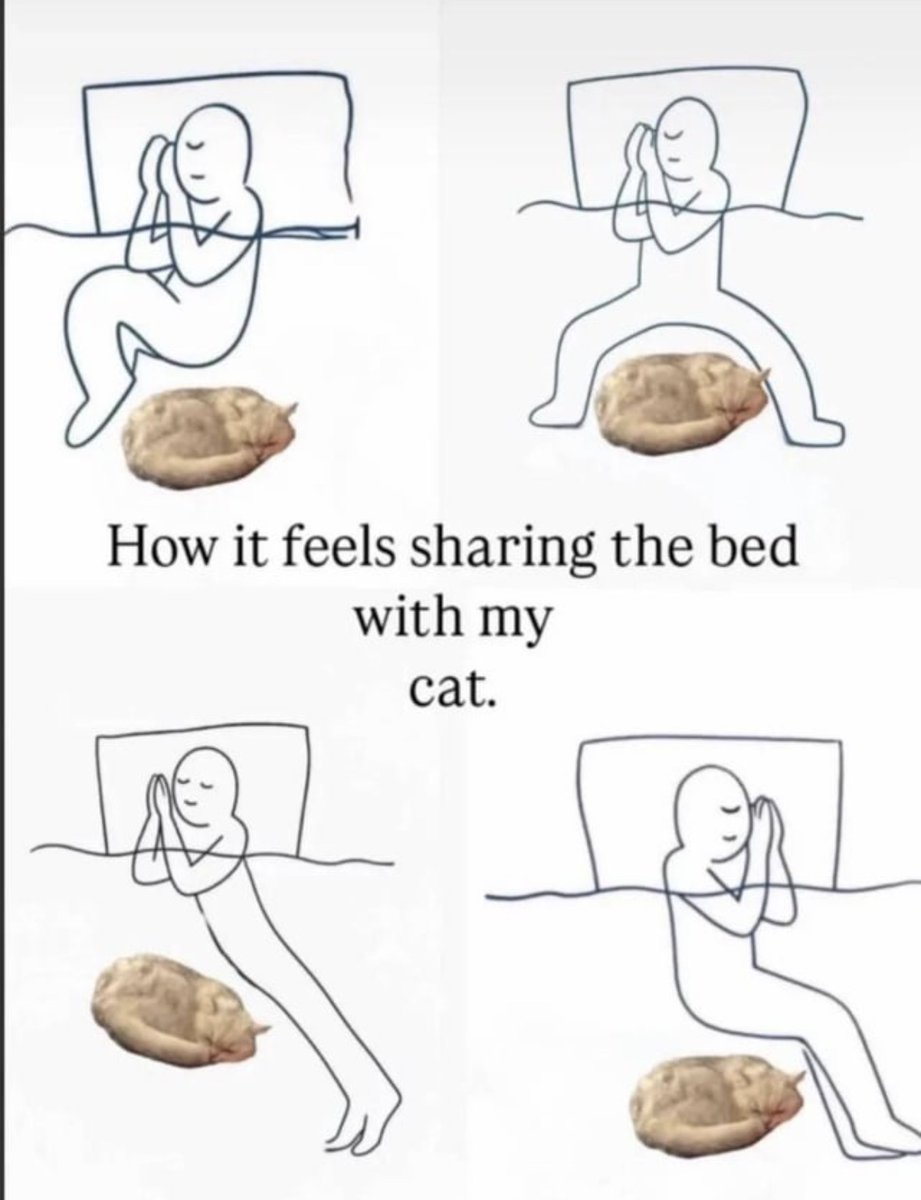 RespectfulMemes's tweet photo. https://t.co/s7tZLdtYyQ