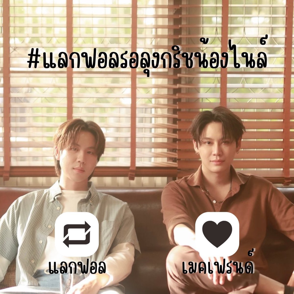 Starry🐱🐷🥦 tweet media