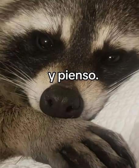 En Júpiter tweet media