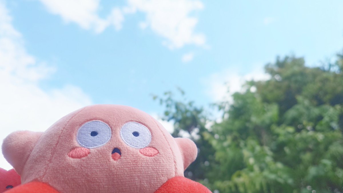 みちゃ✰ะ (@michapoyo222) / Posts / X