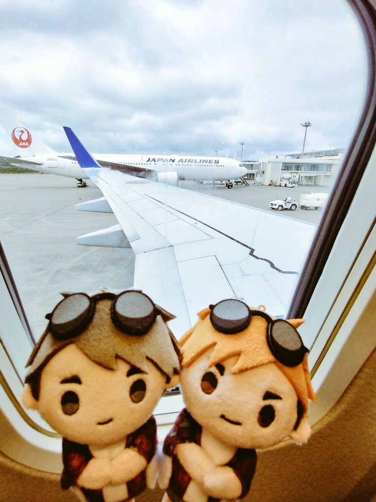 xsubbearx's tweet photo. 🏐　✈️やな
🍙　せやな https://t.co/mbQpLstWCh