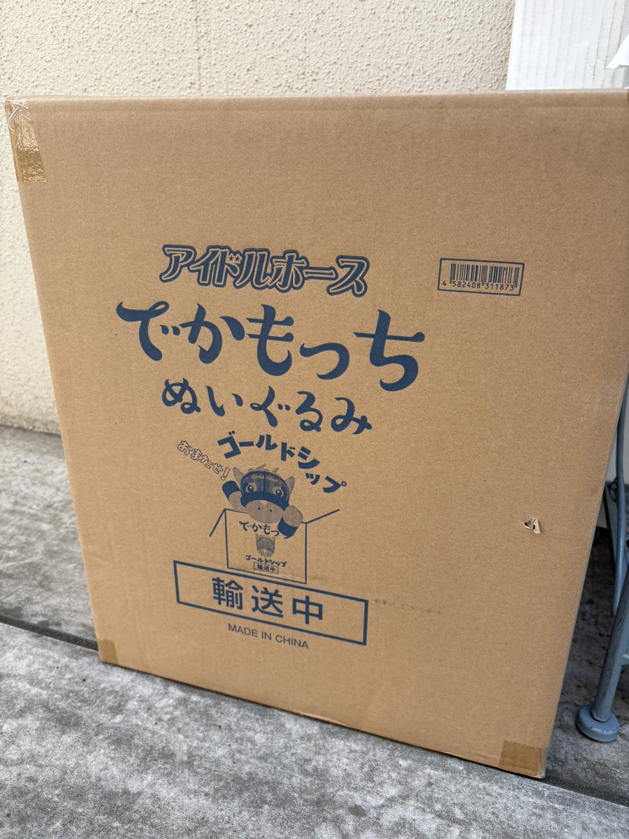 でかもっちゴルシ入厩🏠🐴 先住のおどぅ君と仲良くネ♡ #ゴールド