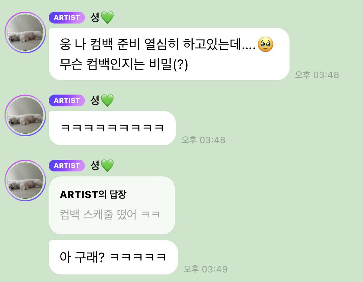 둥아리파 tweet media