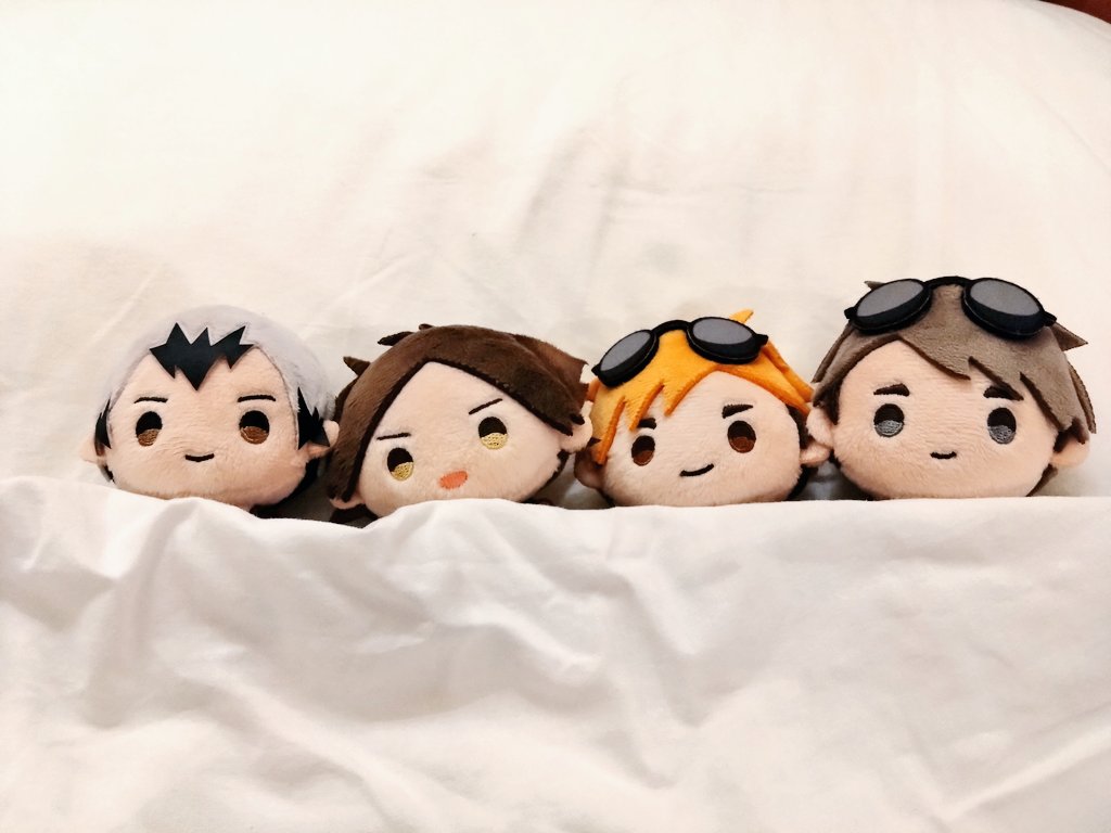 xsubbearx's tweet photo. 仲良く寝てる🤭 https://t.co/srA1RvvNZX