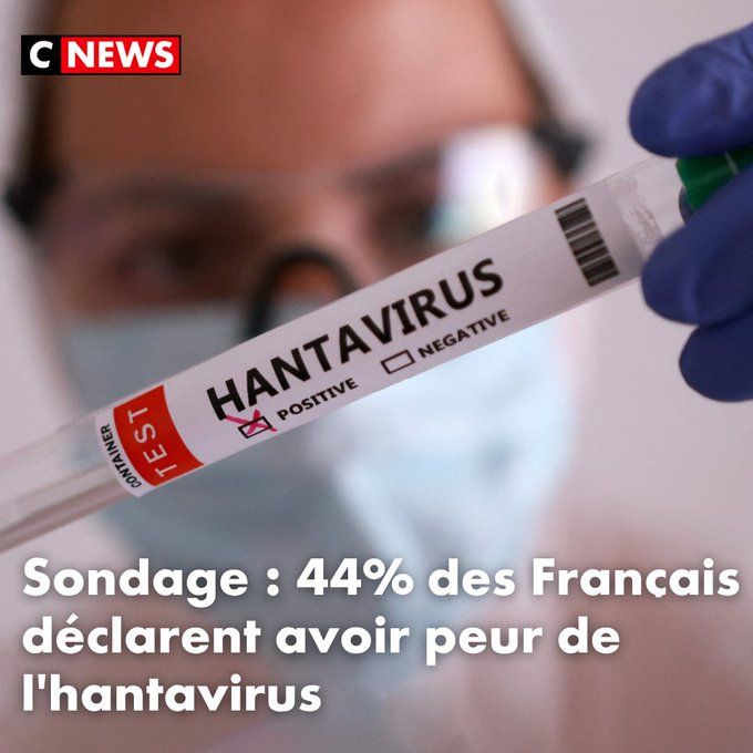 Blemont Denis tweet media