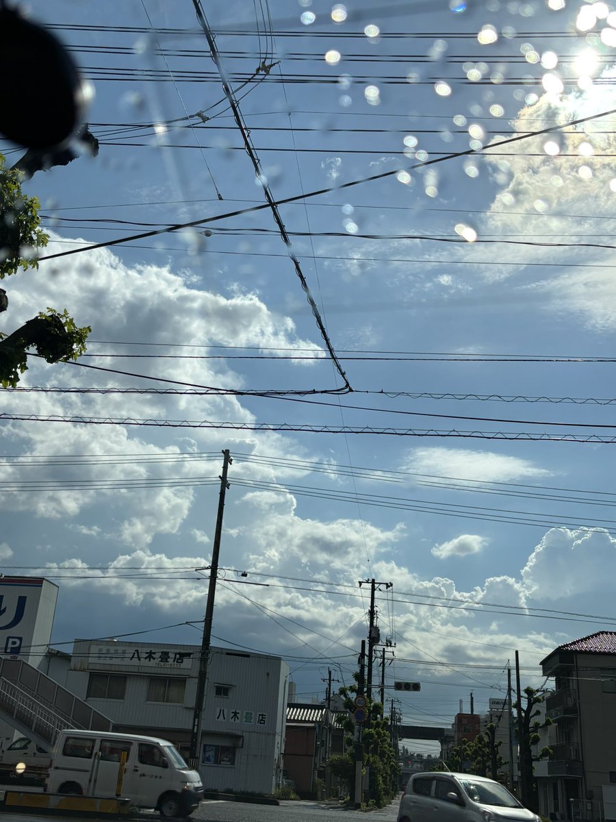 めみい tweet media