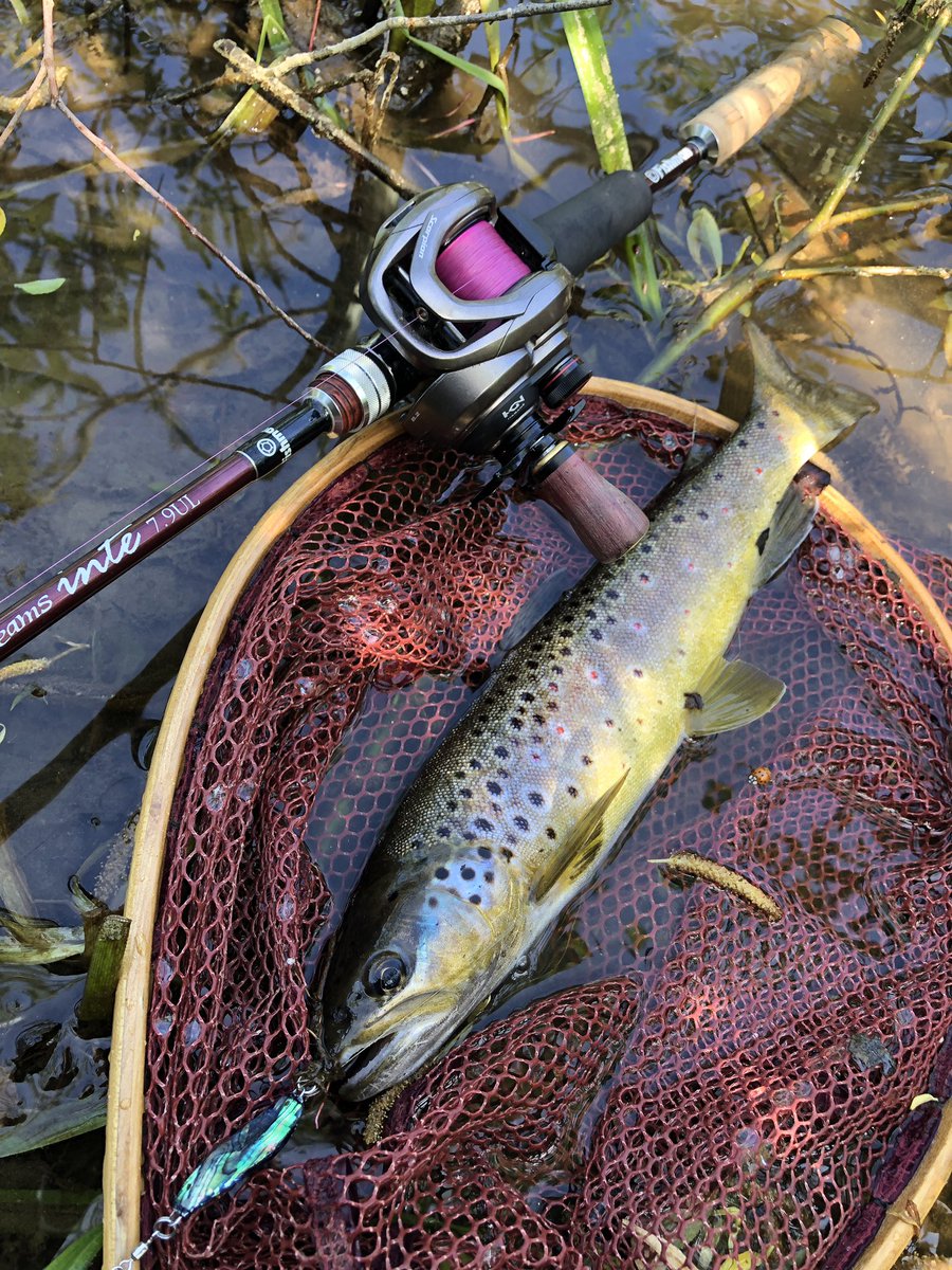 zisakukebari59's tweet photo. 午後からちょい釣り🎣痕跡を見るに人がかなり入ってるっぽくて魚の反応が悪く状況は厳しかったけど何とか1匹出てくれました✨沖仕事後で疲労感がパナいので1匹釣って早々に終了っす🤣
#北海道 #ベイトフィネス #Fishman #Beams #inte79UL #SHIMANO #Scorpion #BFS #ブラウントラウト https://t.co/kIJgryNSEG