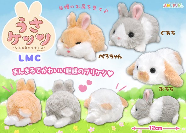 アミューズ AMUFUN【公式】 tweet media