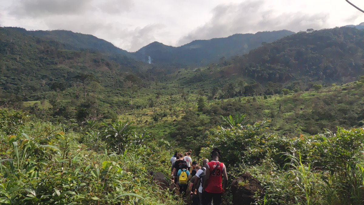 Visit Sierra Leone tweet media