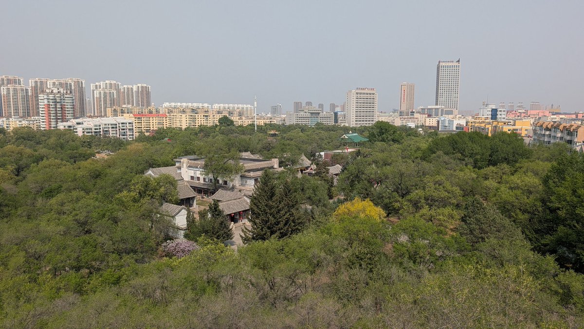 中国風モスク、大きな公園、犬 #中国 #チチハル