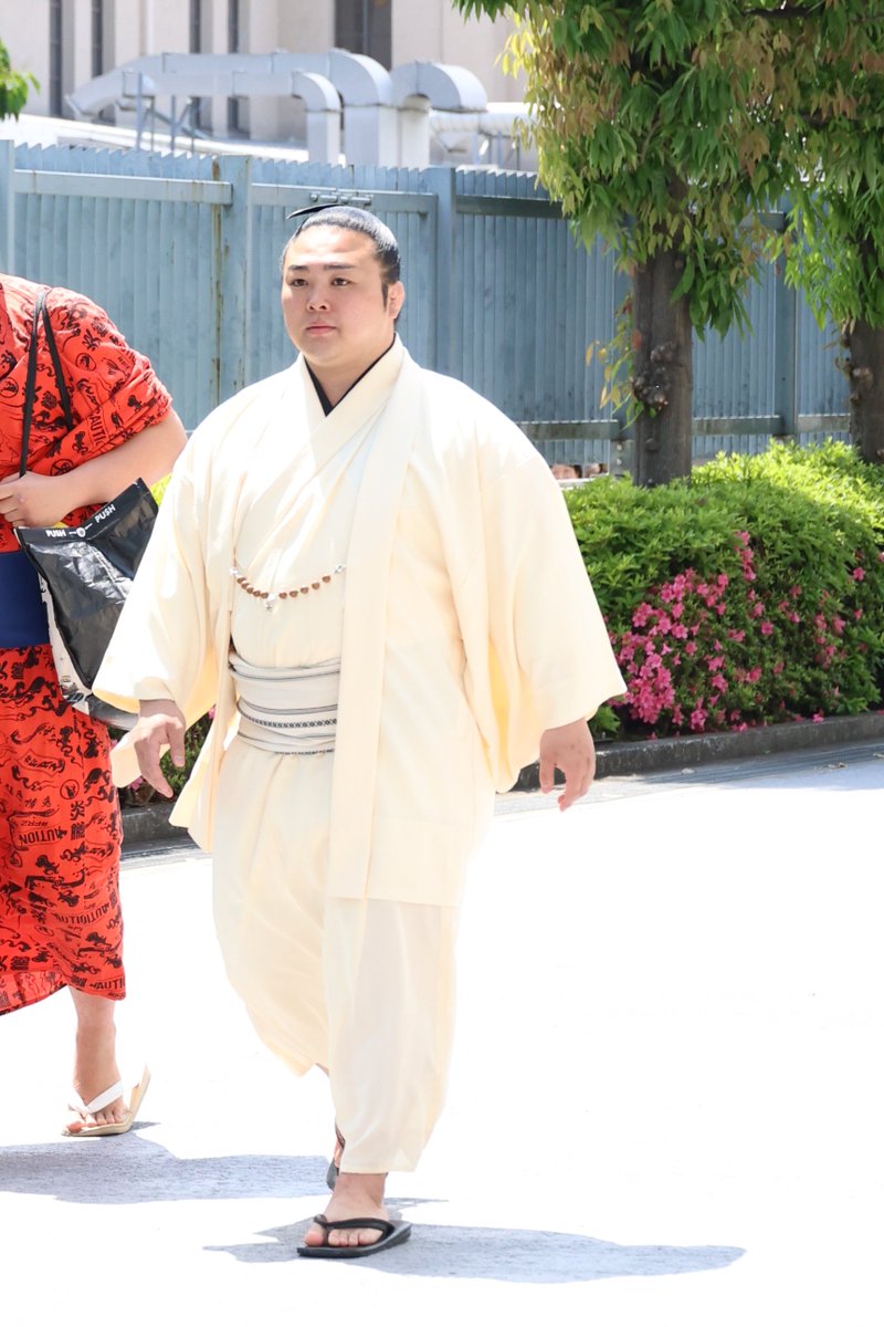 日本相撲協会公式 tweet media