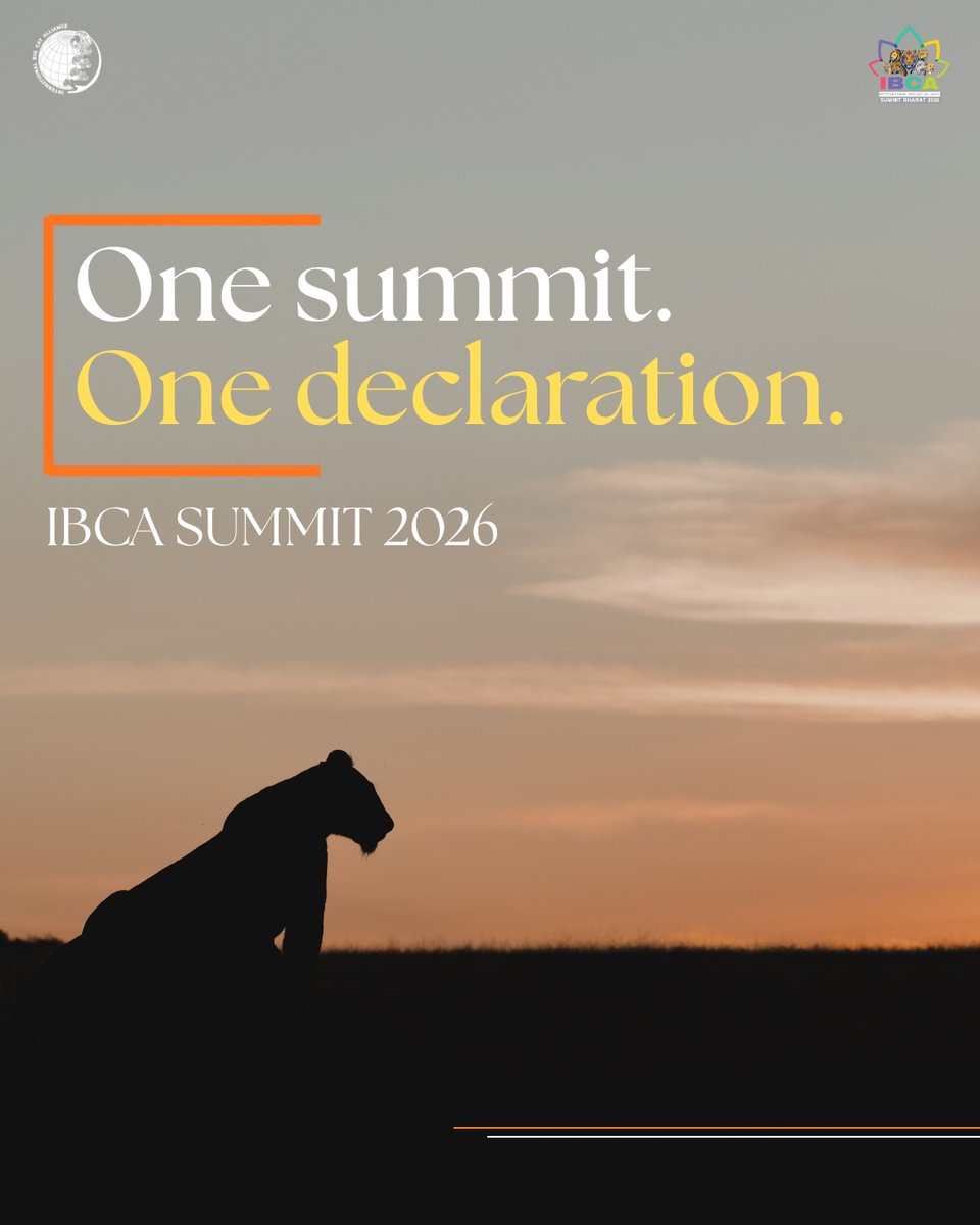 International Big Cat Alliance (IBCA) tweet media