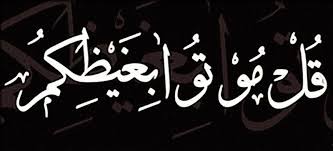 ماجدة (السيسي رئيسي وافتخر) tweet media
