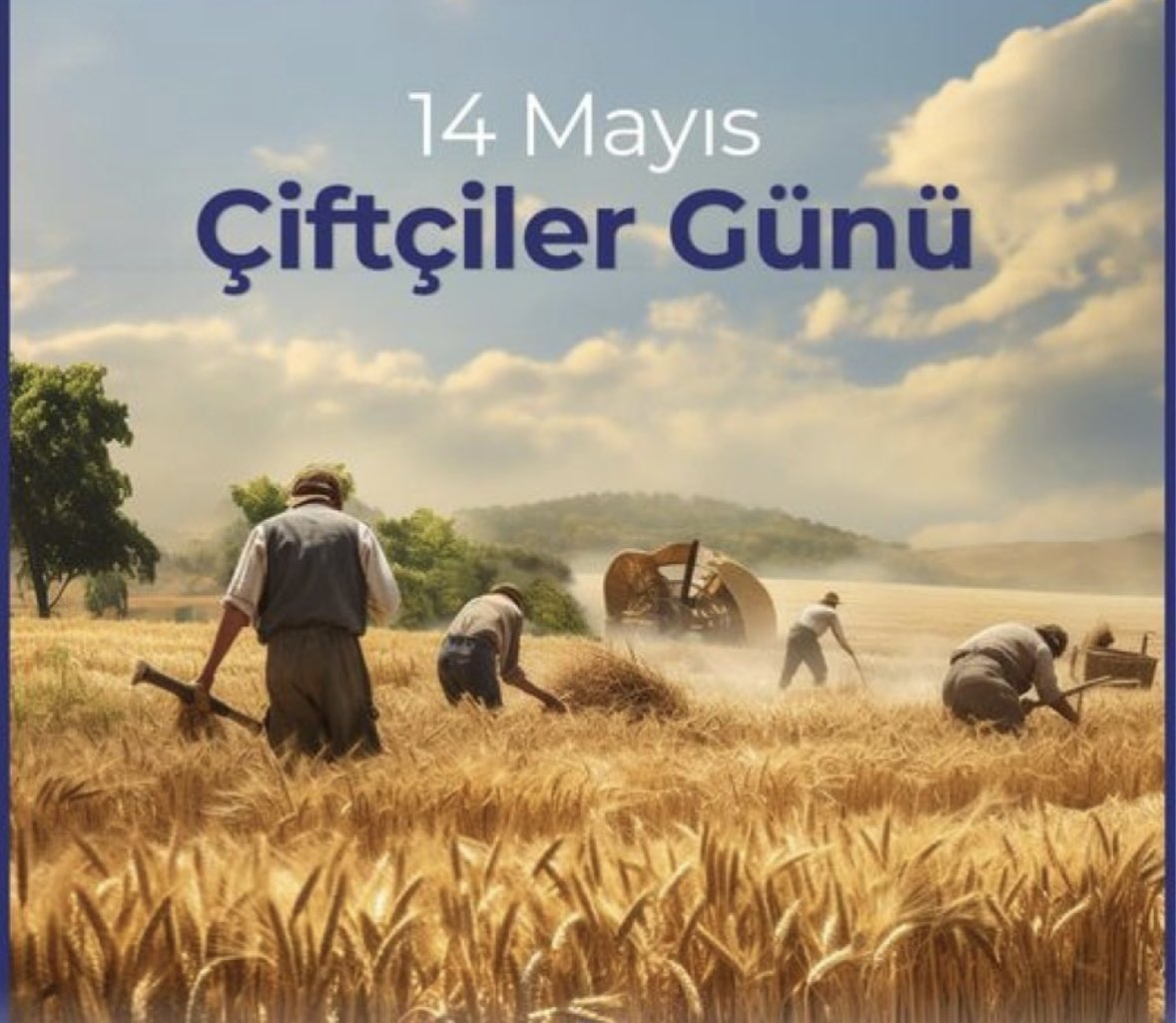 Mehmet HAS tweet media