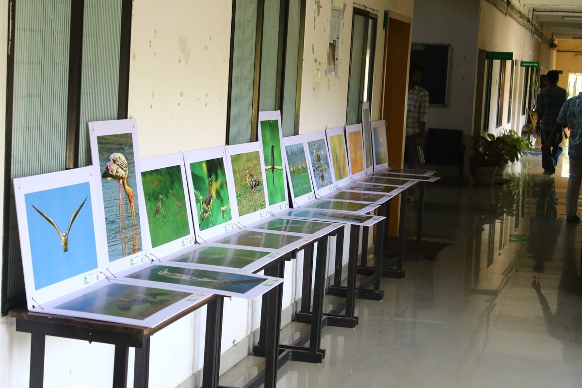 MSSRF tweet media
