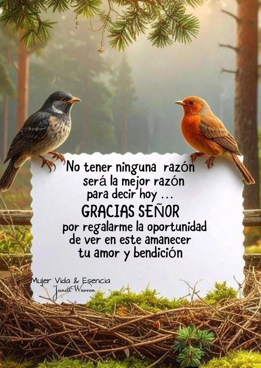 Ana Lo tweet media