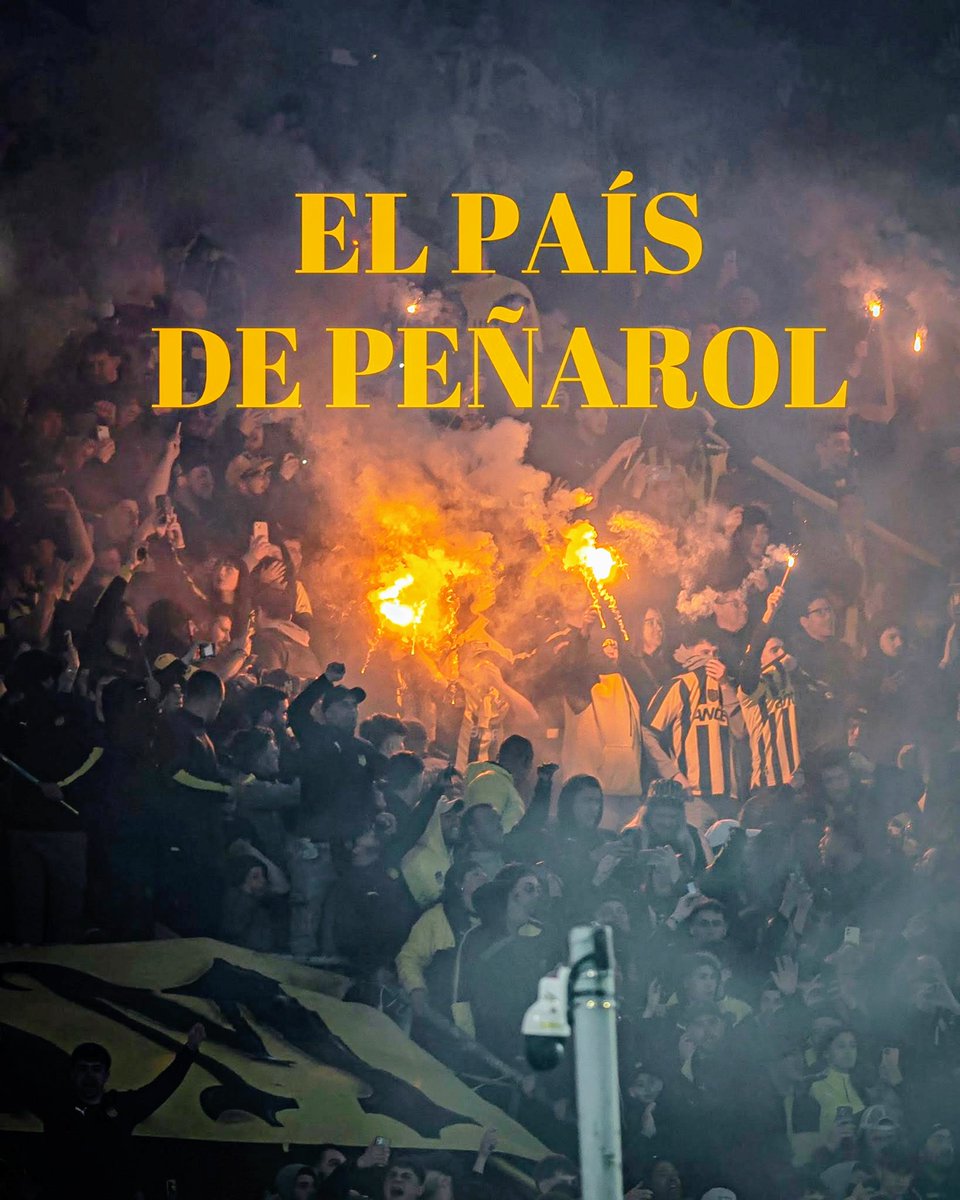 Licenciada FemiManya ♀️💜🖤💛🏳️🌈 tweet media