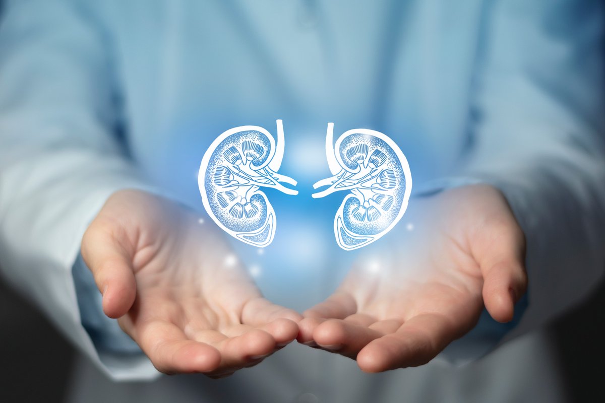 NephroNet's tweet photo. Multi-institutional study in pediatric lupus shows reliable capture of BP, proteinuria &amp; RAAS inhibitor use across 6 sites. Findings reveal high hypertension/proteinuria rates, variation in treatment, &amp; opportunities to standardize care. #PediatricLupus https://t.co/3PVdCiLIWW https://t.co/qC64yem90s