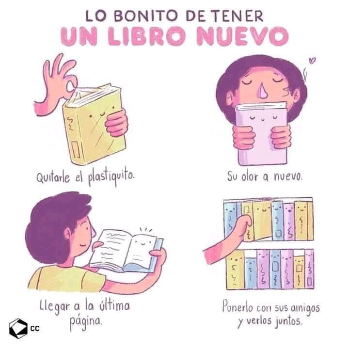 Amor por los libros tweet media