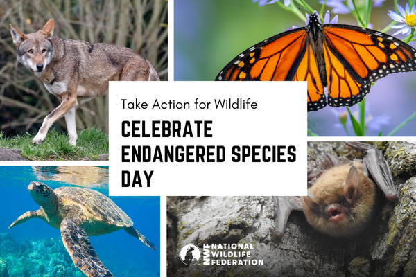 National Wildlife Federation tweet media
