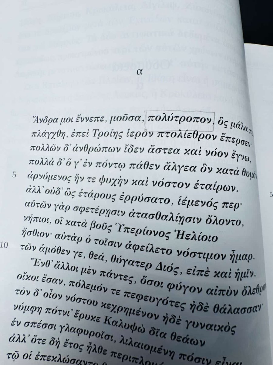 Homer Pavlos tweet media