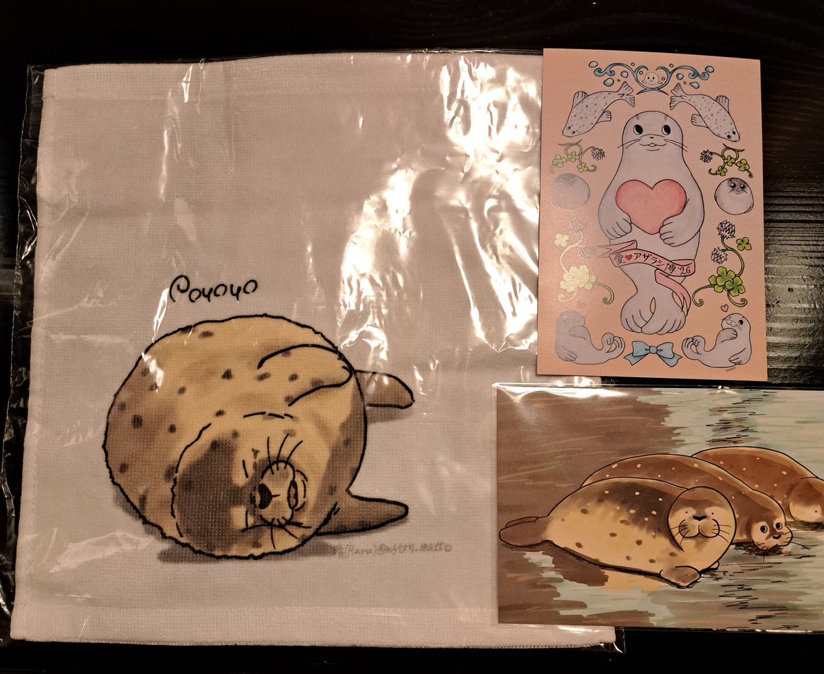 本日お邪魔してまいりました！ 展示会のタイトル通り、アザラシ愛