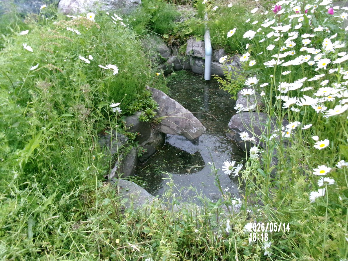ここでちょっと～☁️➰🧐🎶。