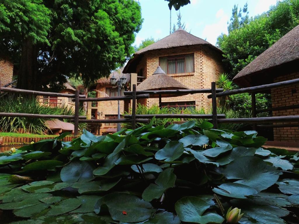CapaWiggins's tweet photo. 🧑‍🧑‍🧒🔥FATHER'S DAY WEEKEND GETAWAY🔥🧑‍🧑‍🧒
🌅  Gauteng |  Bedfordview
🗓  19Jun - 21 Jun 2026
🏡 2 Nights | 2 Adults | 1 Child
 💸 ONLY R3 892,50(Total Stay!)
🍳 Breakfast is optional - R85
✨ Self-Catering
Whatsapp: +27 67 658 6054 https://t.co/WOxo9MRre0