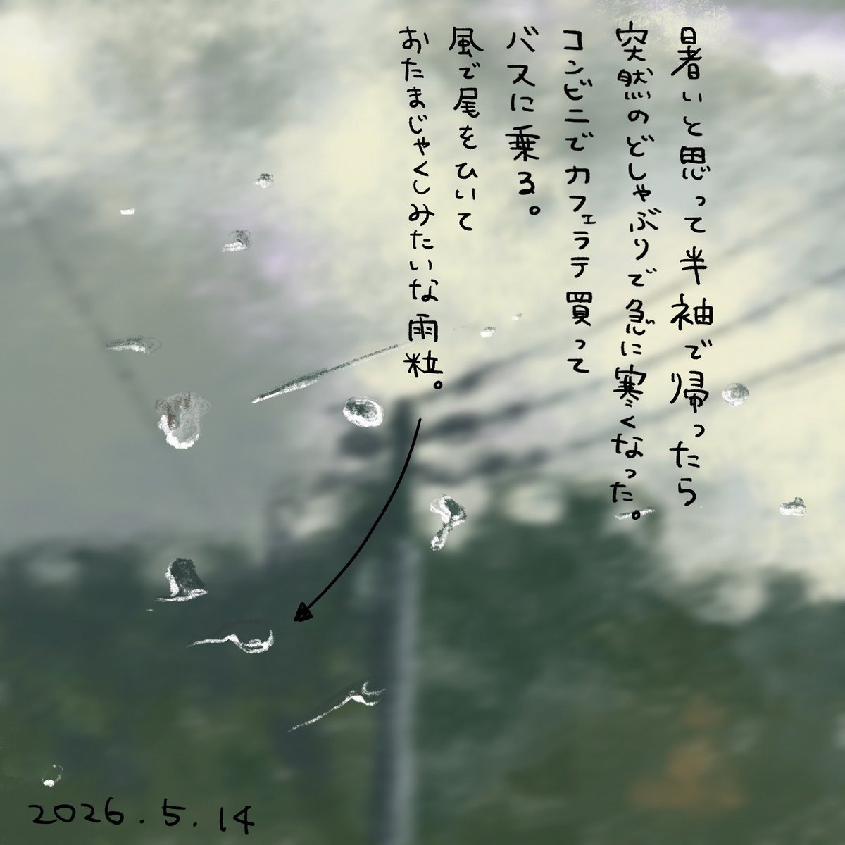 長谷川葉生 はせがわよう tweet media
