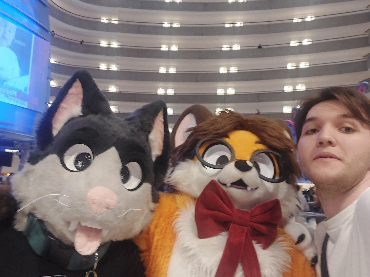 Elastifox tweet media