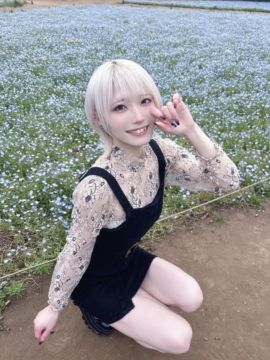 八神ミク - Tohkei tweet media