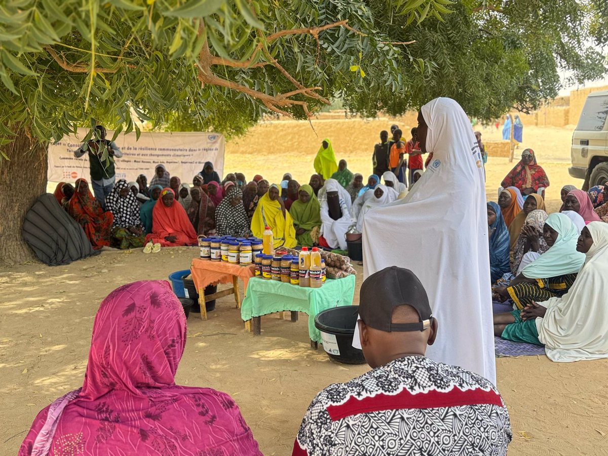 PeacebuildingFund_Niger tweet media