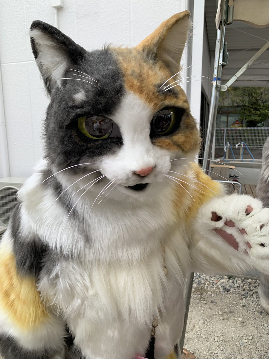 山田三毛猫商店のおいも、めっちゃ美味しかったですﾆｬ〜💕✨