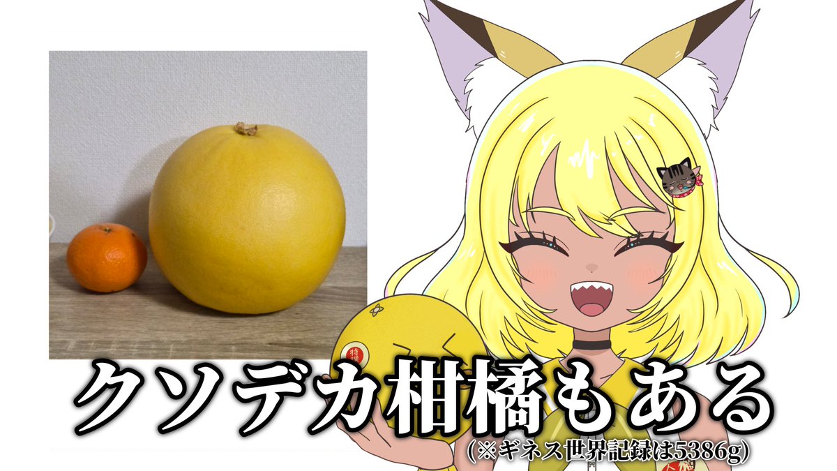 れーこ tweet media