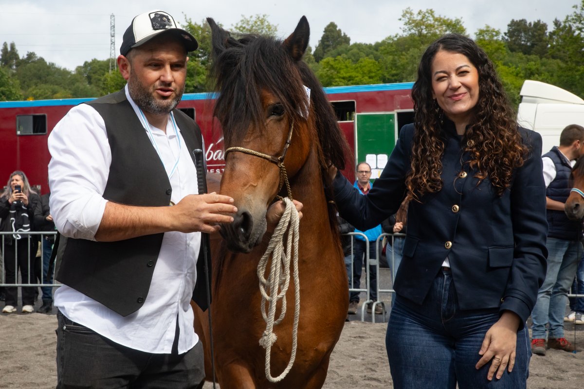 PazodeRaxoi's tweet photo. 🐴 Unha das clásicas citas deste #XovesdaAscensión foi a #FeiraCabalar, que tivo lugar ao longo da mañá de hoxe no Recinto Feiral de #Amio e onde o público puido gozar, entre outras actividades, das mostras cabalares morfolóxicas e de andadura galega serrada e chapeada! 👏 https://t.co/RBXeDKWkGM