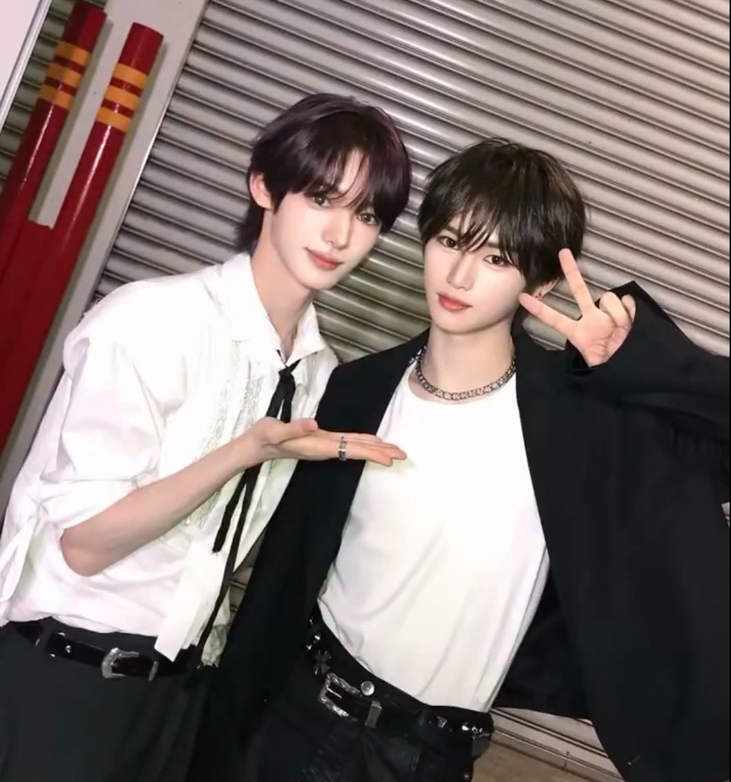 디어 tweet media