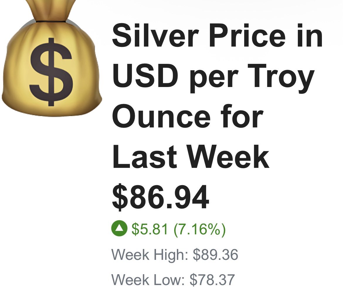 TheSilverLion 🇬🇧 tweet media