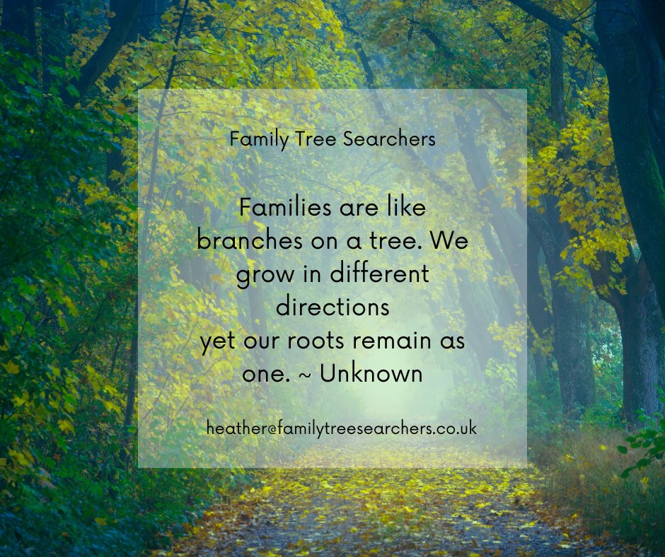 Family Tree Searchers tweet media