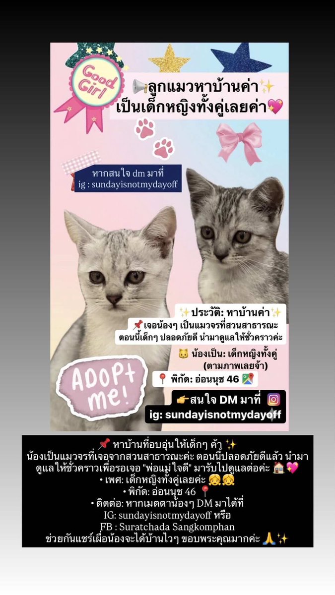 💋ᴶᵘᵈʸ🍒 🪽𝙿𝚛𝚘𝚖𝚒𝚜𝚎 tweet media