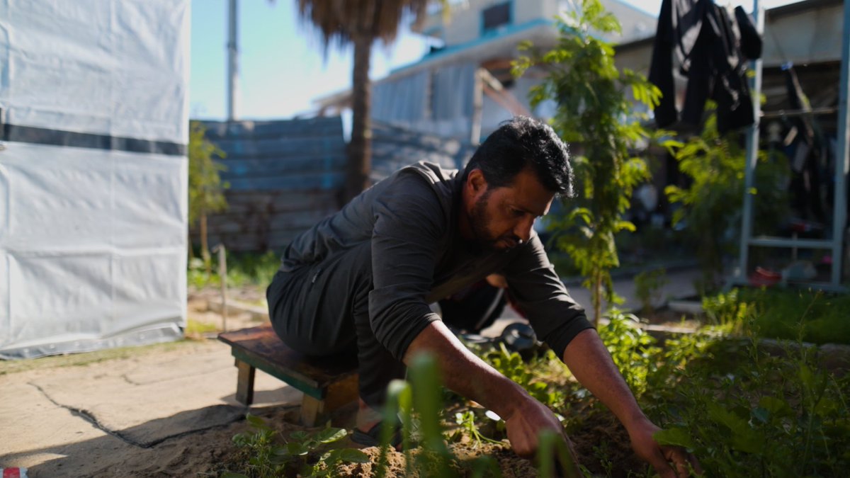 IOM - UN Migration 🇺🇳 tweet media