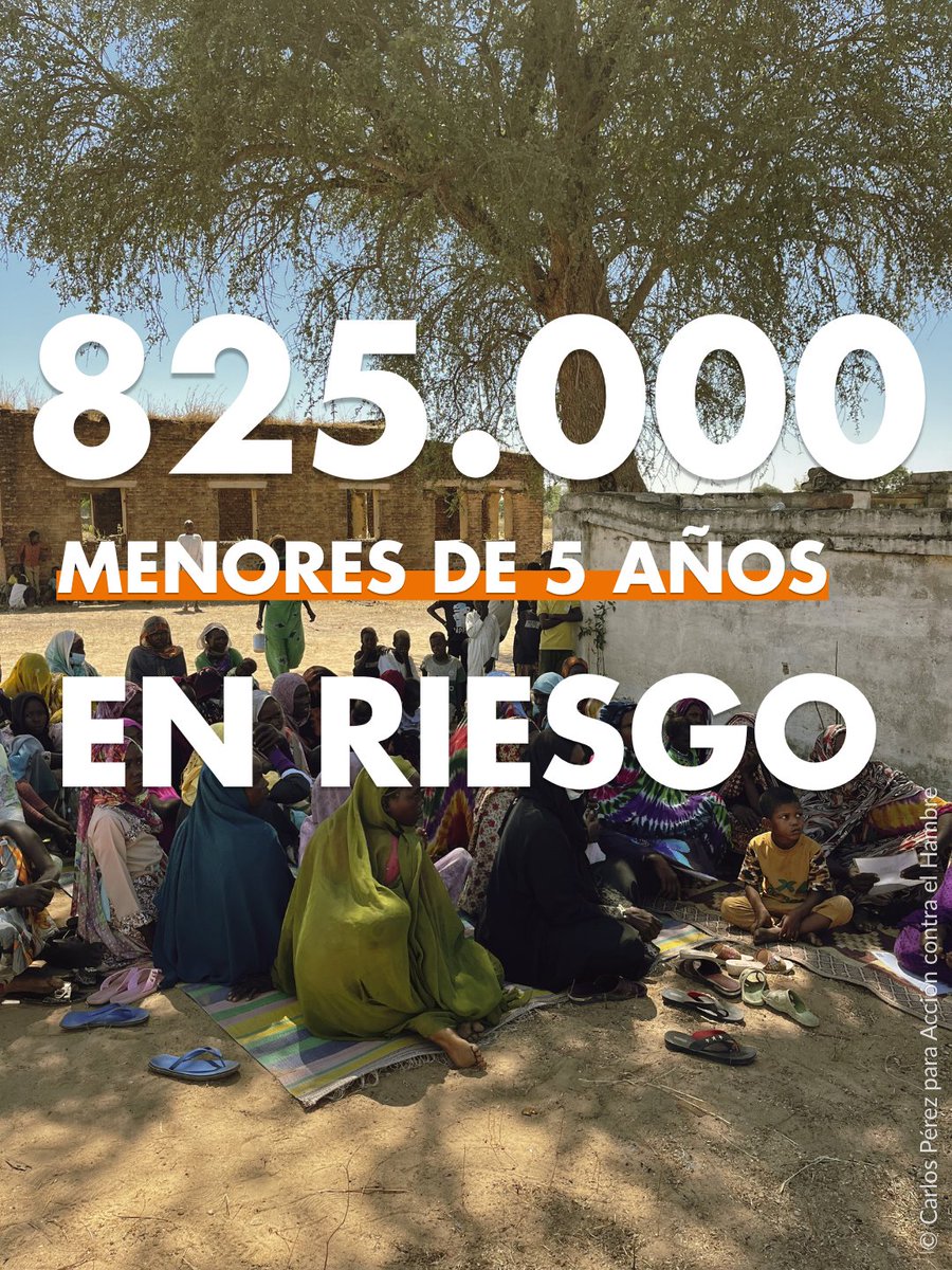 Acontraelhambre's tweet photo. 🚨Sudán atraviesa una de las mayores crisis humanitarias del mundo: casi 20 millones de personas se enfrentan a niveles graves de hambre y 825.000 niños y niñas podrían sufrir desnutrición aguda severa este año https://t.co/76vNTkQwyQ
