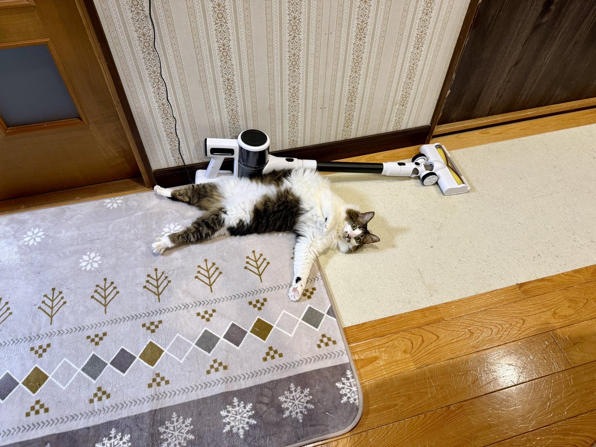 k2_k2trip's tweet photo. 事務から戻ってきたら！

探偵呼びますか！？ https://t.co/iiB0Gmcjze
