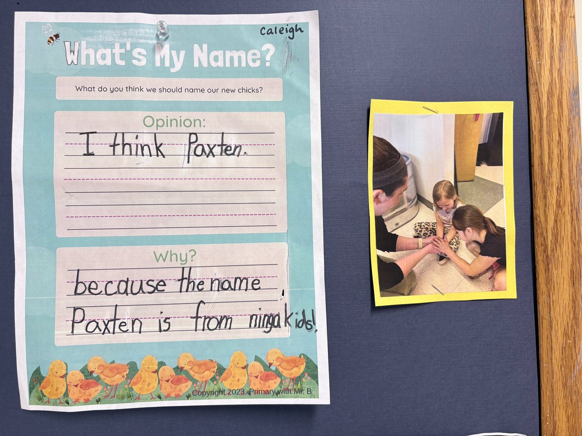 Barnard School South Hampton tweet media
