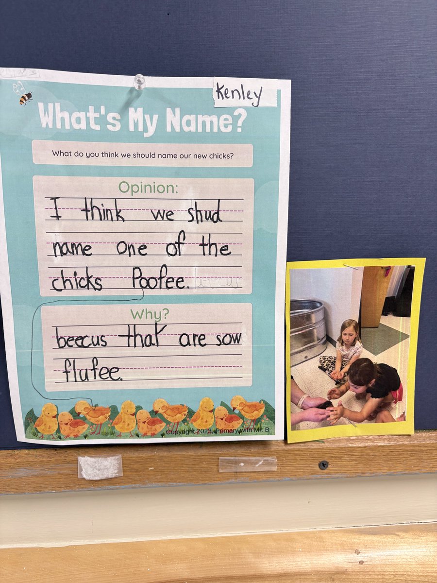 Barnard School South Hampton tweet media