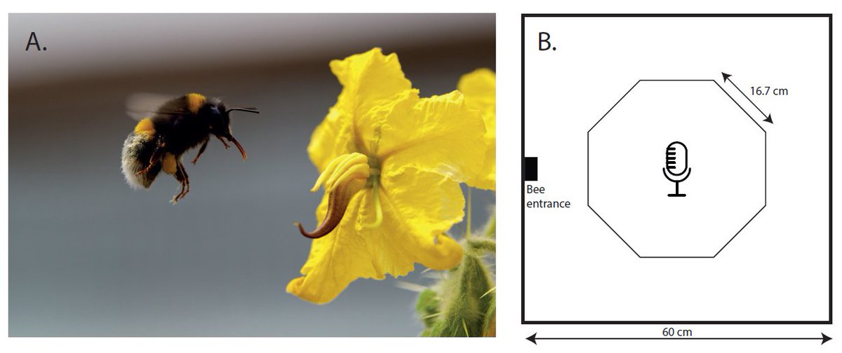 Annals of Botany tweet media