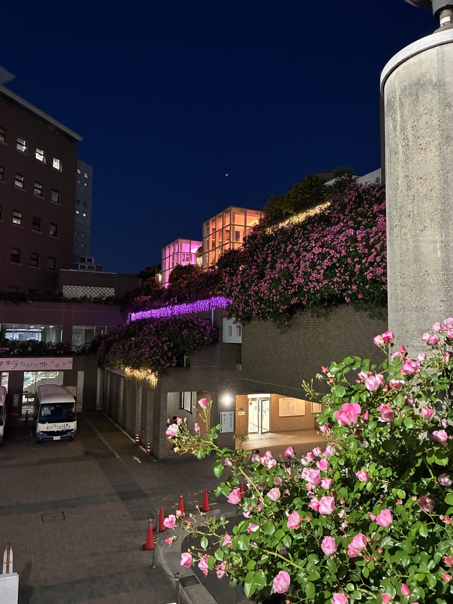 まあ tweet media