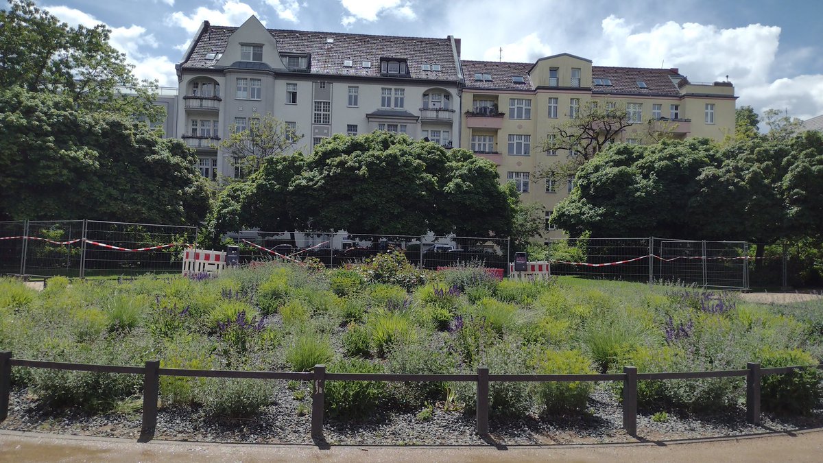 Corinna K Steglitz tweet media