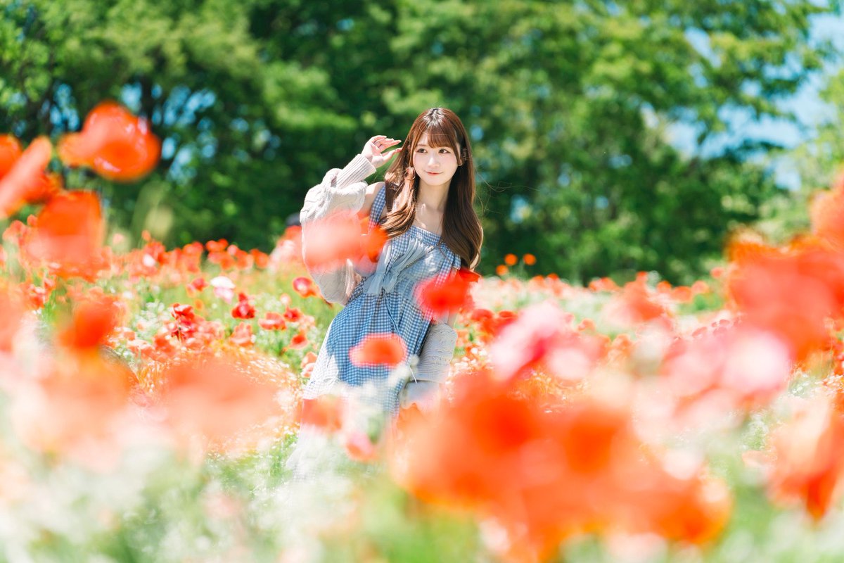 奏怜花🌷 tweet media